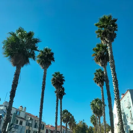 Casa De Habitación en casa particular Paço de Arcos